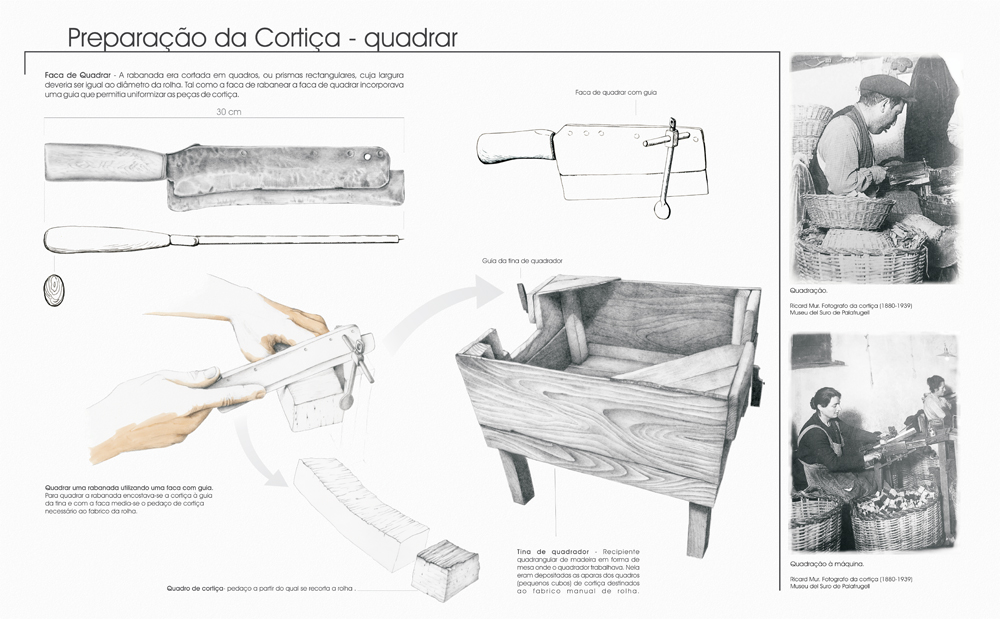 Quest3 image 1.4. introduction