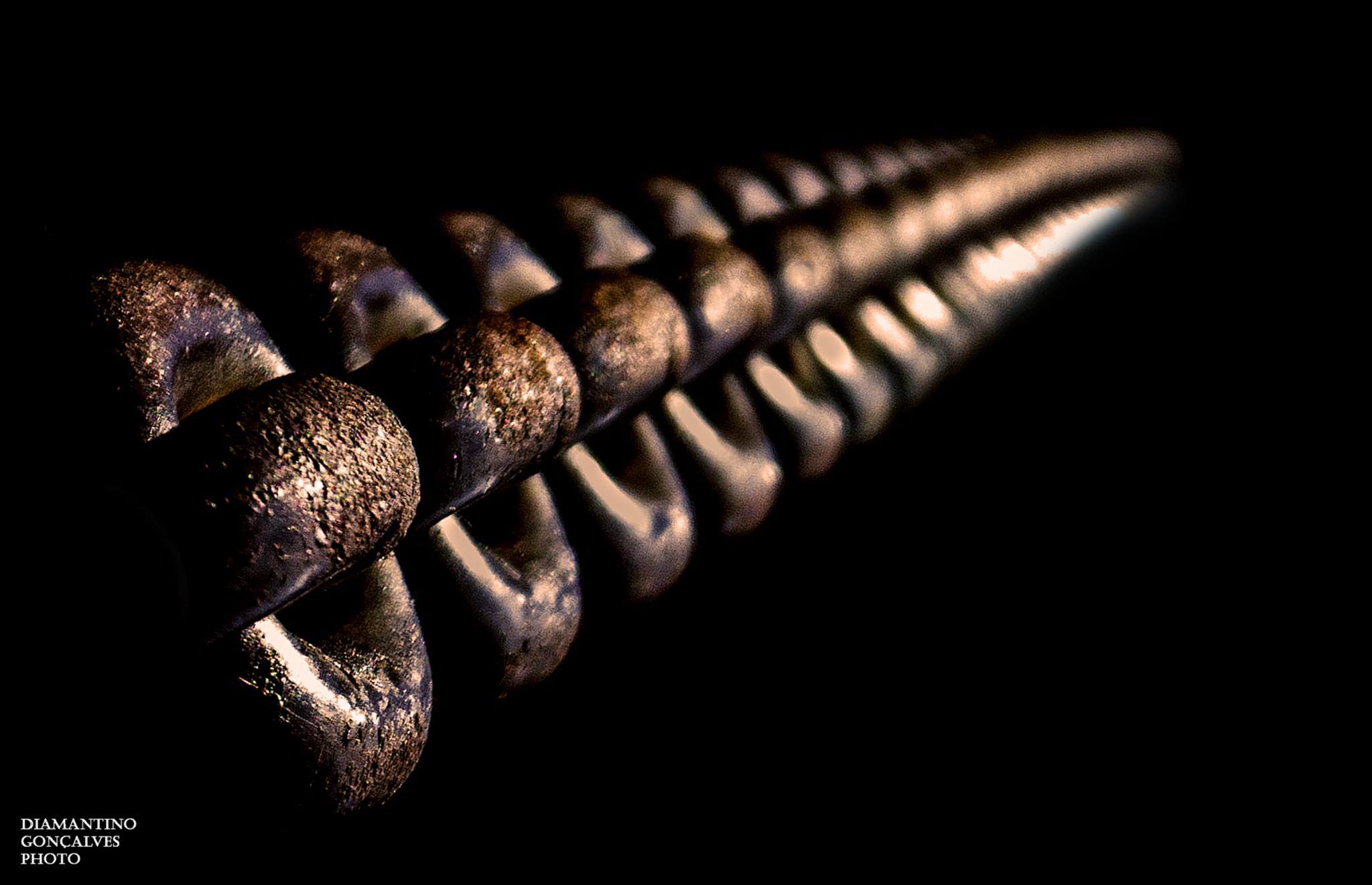 Portugal. Copyright Diamantino Gonçalves